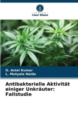 Antibakterielle Aktivität einiger Unkräuter