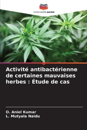 Activité antibactérienne de certaines mauvaises herbes