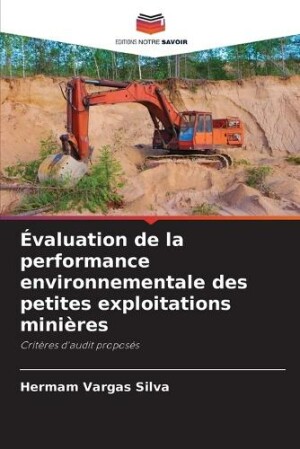 Évaluation de la performance environnementale des petites exploitations minières