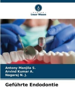 Geführte Endodontie