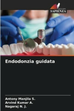 Endodonzia guidata