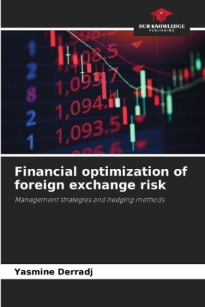 Financial optimization of foreign exchange risk