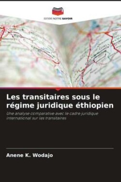 Les transitaires sous le régime juridique éthiopien