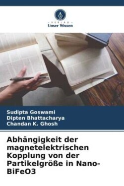 Abhängigkeit der magnetelektrischen Kopplung von der Partikelgröße in Nano-BiFeO3