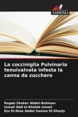 cocciniglia Pulvinaria tenuivalvata infesta la canna da zucchero