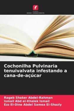 Cochonilha Pulvinaria tenuivalvata infestando a cana-de-açúcar