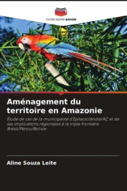 Aménagement du territoire en Amazonie