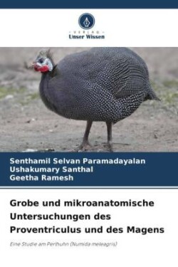 Grobe und mikroanatomische Untersuchungen des Proventriculus und des Magens