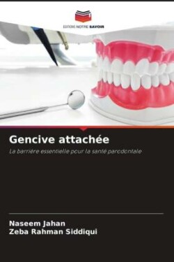 Gencive attachée