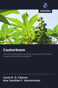 Castorboon