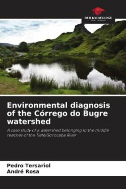 Environmental diagnosis of the Córrego do Bugre watershed