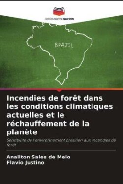 Incendies de forêt dans les conditions climatiques actuelles et le réchauffement de la planète