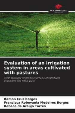 Evaluation of an irrigation system in areas cultivated with pastures