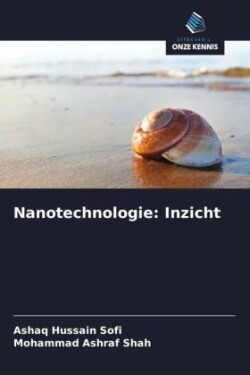 Nanotechnologie: Inzicht