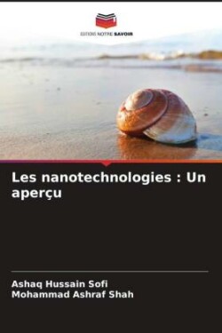 Les nanotechnologies : Un aperçu