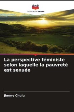 perspective féministe selon laquelle la pauvreté est sexuée