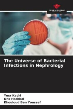 The Universe of Bacterial Infections in Nephrology