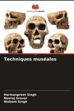 Techniques muséales