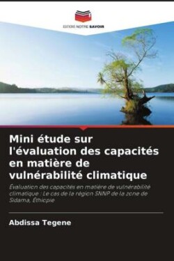 Mini étude sur l'évaluation des capacités en matière de vulnérabilité climatique