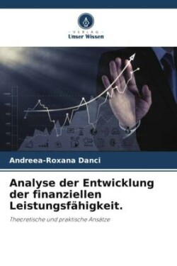 Analyse der Entwicklung der finanziellen Leistungsfähigkeit.