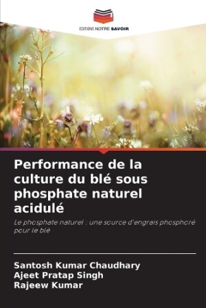 Performance de la culture du blé sous phosphate naturel acidulé