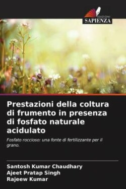 Prestazioni della coltura di frumento in presenza di fosfato naturale acidulato