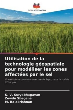 Utilisation de la technologie géospatiale pour modéliser les zones affectées par le sel