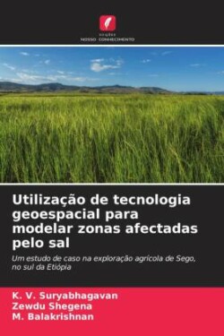 Utilização de tecnologia geoespacial para modelar zonas afectadas pelo sal