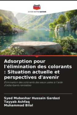 Adsorption pour l'élimination des colorants