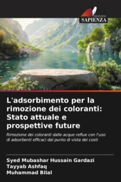 L'adsorbimento per la rimozione dei coloranti: Stato attuale e prospettive future