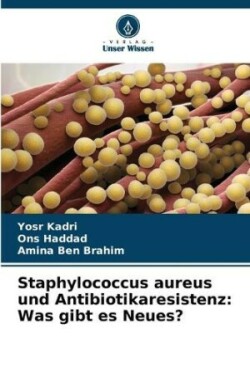 Staphylococcus aureus und Antibiotikaresistenz