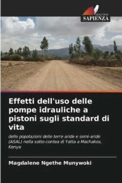 Effetti dell'uso delle pompe idrauliche a pistoni sugli standard di vita