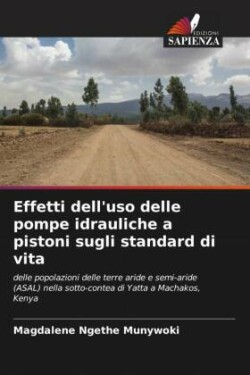 Effetti dell'uso delle pompe idrauliche a pistoni sugli standard di vita