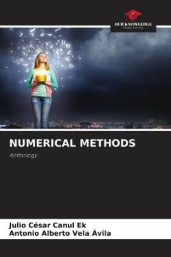 NUMERICAL METHODS