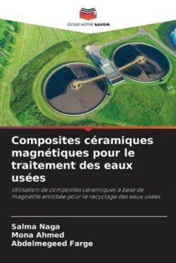 Composites céramiques magnétiques pour le traitement des eaux usées