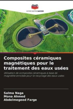 Composites céramiques magnétiques pour le traitement des eaux usées