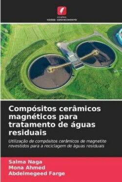 Compósitos cerâmicos magnéticos para tratamento de águas residuais