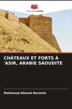 Châteaux Et Forts À 'Asir, Arabie Saoudite