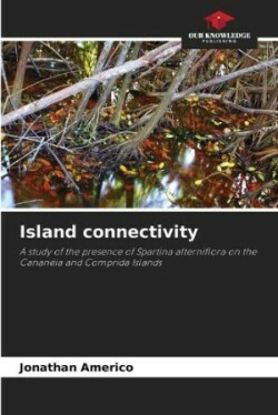 Island connectivity