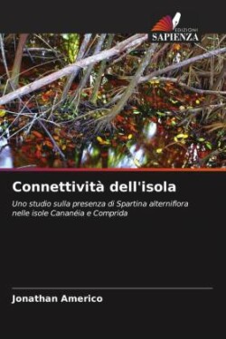 Connettività dell'isola