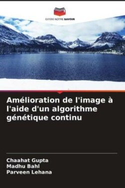 Amélioration de l'image à l'aide d'un algorithme génétique continu