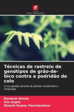 Técnicas de rastreio de genótipos de grão-de-bico contra a podridão do colo