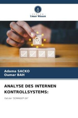 Analyse Des Internen Kontrollsystems