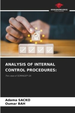 Analysis of Internal Control Procedures