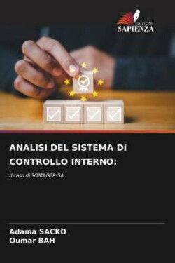 Analisi del Sistema Di Controllo Interno