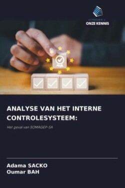 ANALYSE VAN HET INTERNE CONTROLESYSTEEM: