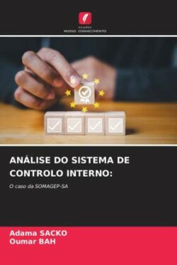 Análise Do Sistema de Controlo Interno