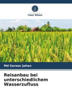 Reisanbau bei unterschiedlichem Wasserzufluss