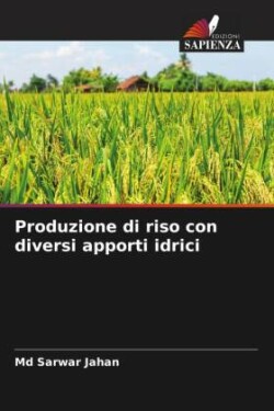 Produzione di riso con diversi apporti idrici