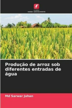 Produção de arroz sob diferentes entradas de água